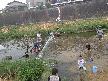 阪内川　自然観察会-002