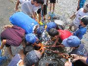 松名瀬干潟の生き物観察会-1